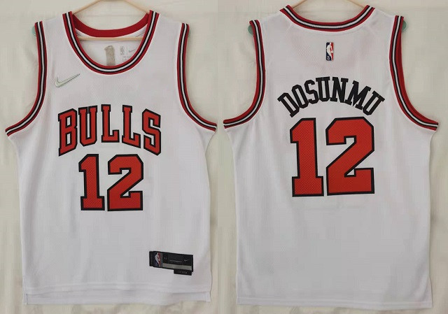 Chicago Bulls Jerseys 31